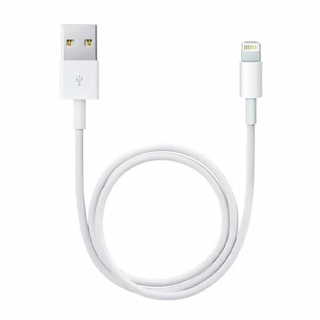 Apple Lightning to USB Cable 0.5 m Original